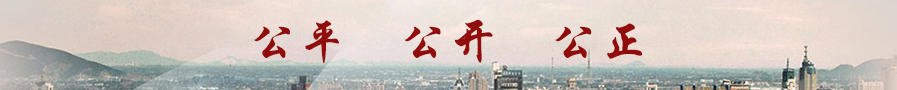 公平、公開、公正